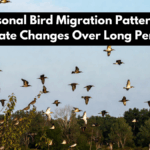 How Seasonal Bird Migration Patterns Reveal Climate Changes Over Long Periods