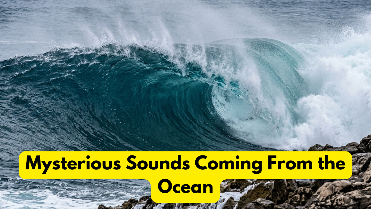 Mysterious Sounds Coming From the Ocean